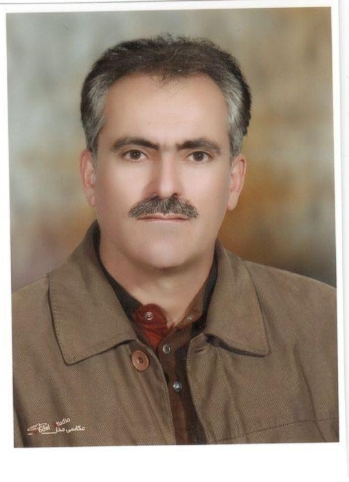 وحید محبعلی زاده