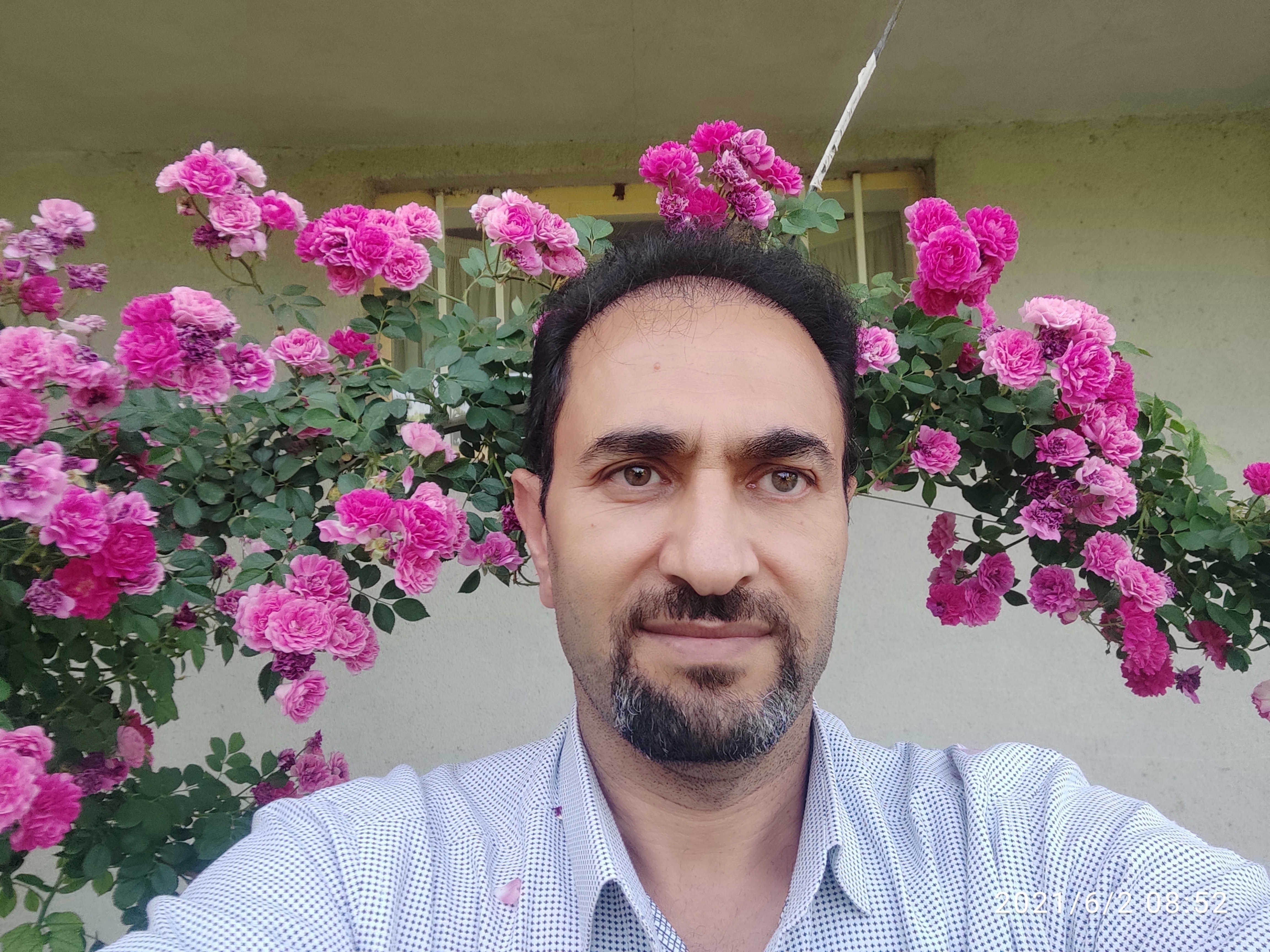 هادی علیزاده