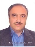 علی فیاض