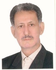 مهدی میرزائی ازبرمی
