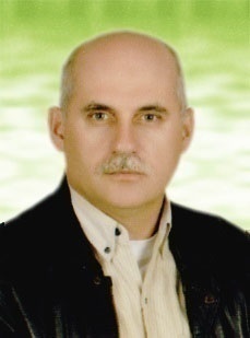 هادی محمدی