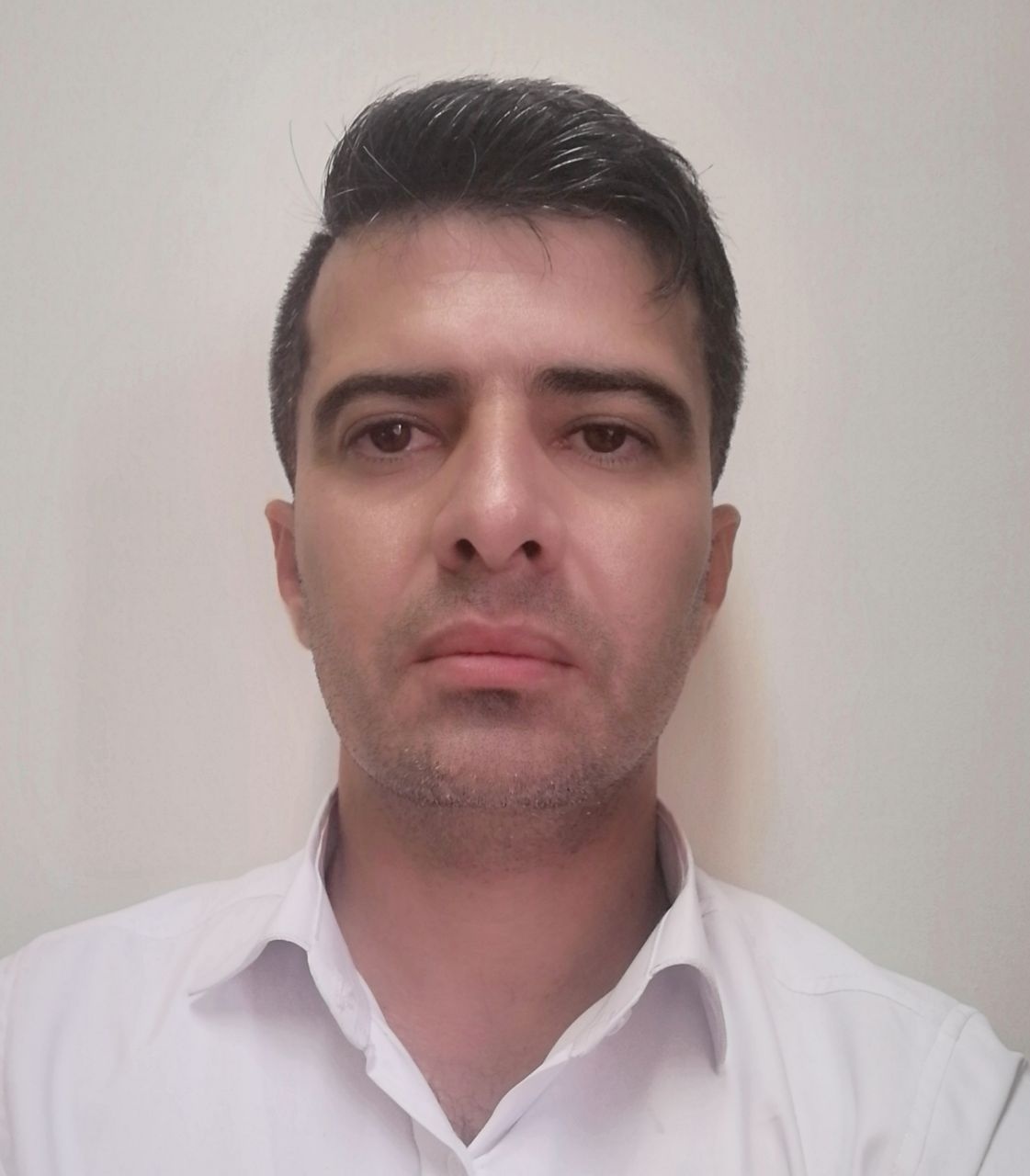 قاسم شریفی