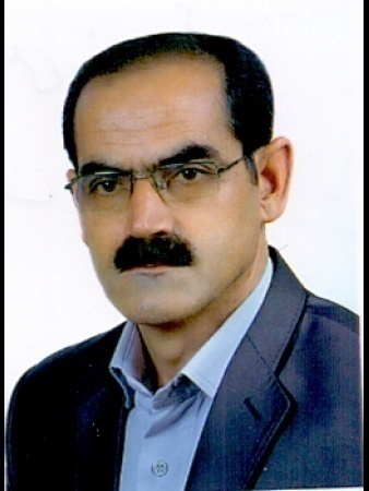 علی زیبایی