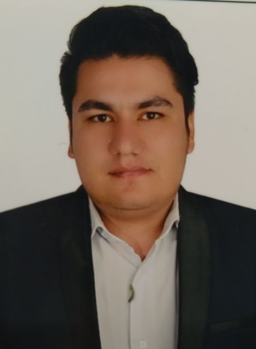 مهدی گل زاده برج قلعه