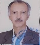 سید مرتضی هاشمی صفائی