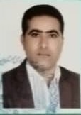 مجتبی دلیری