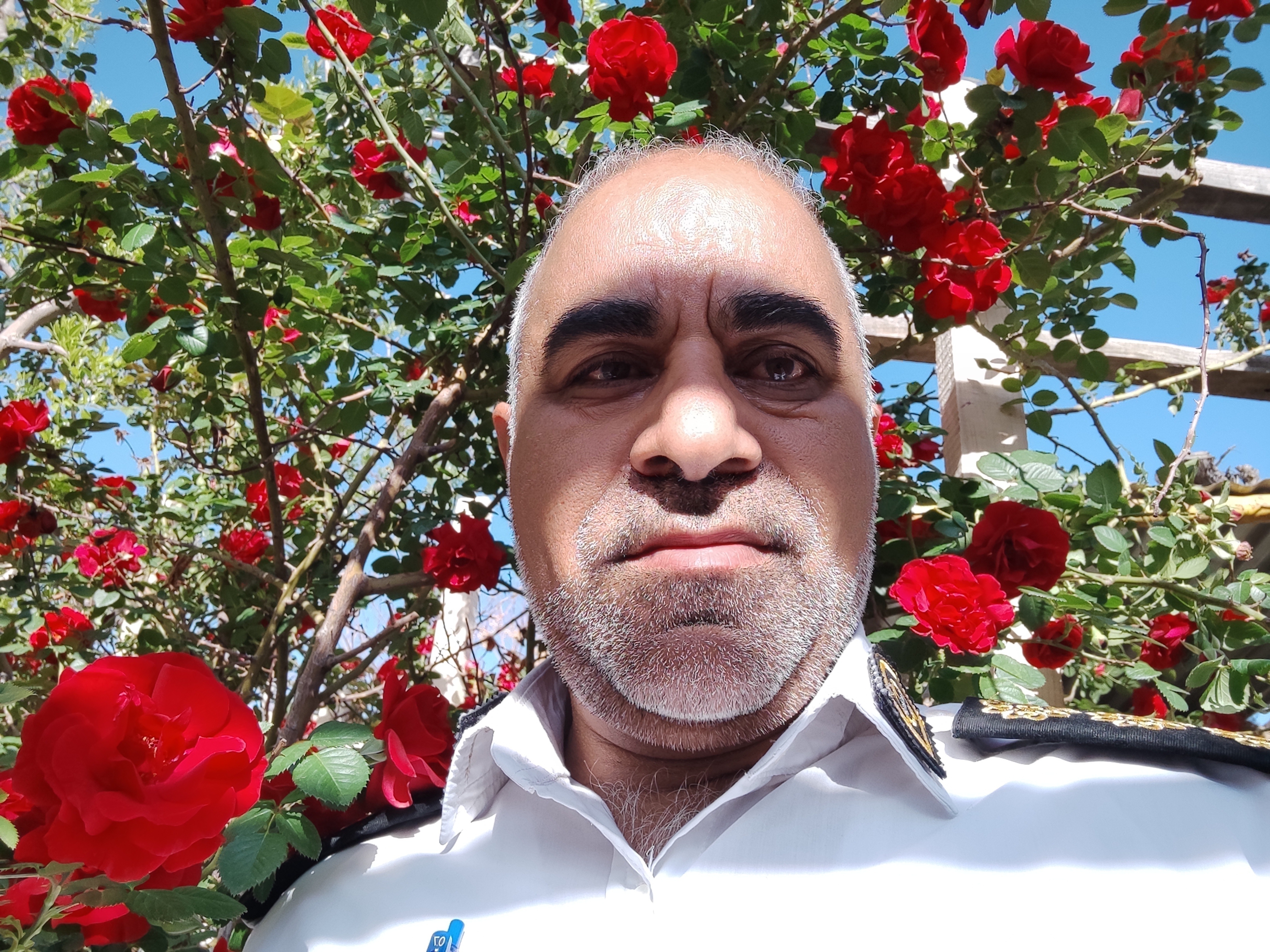 علیرضا عباسی