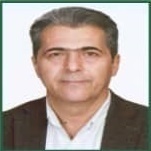 امیر هندی