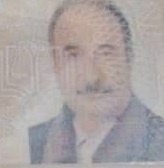 فریدون خالقی فرد