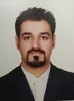 سید امیرحسین نجفی