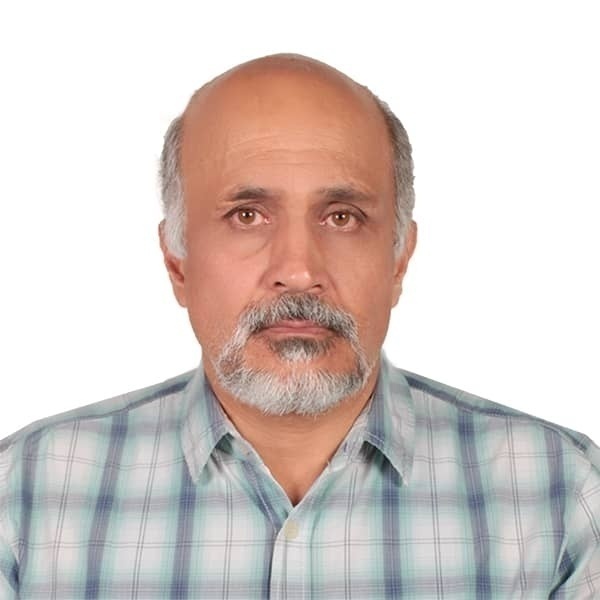 محسن افخمی
