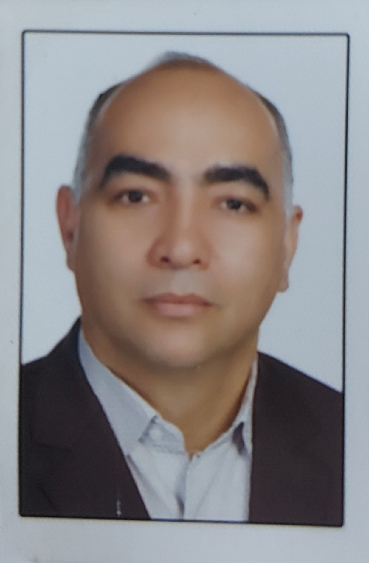 محسن سیفی