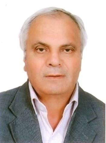 محمدرضا سلطانی