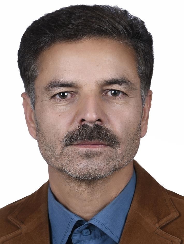 حسین زارعی